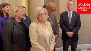 BREAKING: Liz Cheney Appears Alongside Dems On Jan. 6 Committee, Says She Has Not Lost Assignments