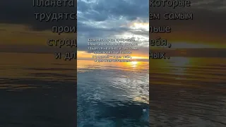 Мудрые цитаты о карме от Садхгуру