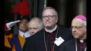Bishop Barron questions the ambiguity of the terms of the Synodal process.