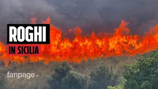 La Sicilia nella morsa degli incendi, le immagini dei roghi in vari punti dell'isola