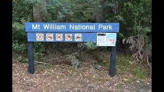 Deep Creek Campground Mt William National Park Tasmania