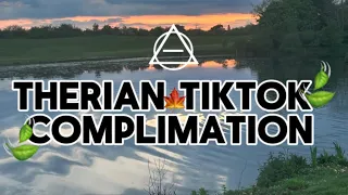 Therian/Quadrobist TikTok comp (half have no sound bc it’s copyrighted sorry)