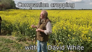 Companion cropping