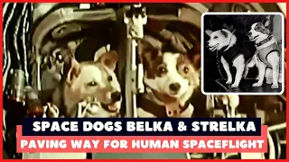 Soviet Dogs Belka and Strelka conduct first ever orbital mission