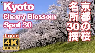 4K Japan Kyoto Cherry Blossom Spot 30（sakura) 京都の桜名所30 京都観光 旅行 案内 清水寺 平安神宮 嵐山 円山公園 哲学の道 醍醐寺 二条城 祇園白川