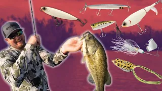 THIS Is How You Decide Which TOPWATER LURES To Throw For Bass!! (Full TOPWATER Breakdown!)