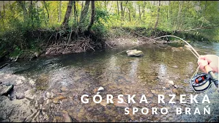 Mały strumyk, sporo brań i kilka pstrągów. #pstrągi #troutfishing #wędkarstwo #nymphfishing