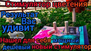 Результат🔥. Гиббереллин-это основа всех Стимуляторов роста, плод.ния и цветения Бутон Завязь Цветень