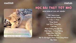 [playlist speedup] playlist này thay lời cho mèo chúc cho các bé iu học bài thật tốt