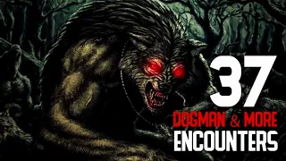 37 DOGMAN & CREATURES ENCOUNTERS COMPILATION Dogman, Bigfoot, Wendigos   What Lurks Beneath