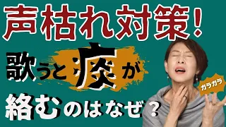 【ボイトレ】声枯れ対策！歌うと不意に痰が絡んだりガラガラと引っかかるはどうして？