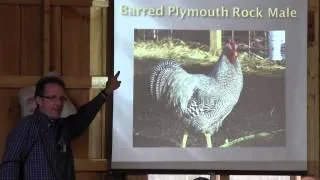 Organic Growers School Poultry Workshop, Part 3