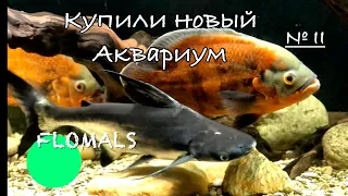 ЗАПУСК АКВАРИУМА НА 600 ЛИТРОВ (2 ЧАСТЬ)