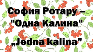 София Ротару - Одна калина [Текст пісні]