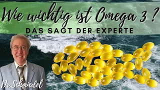 Omega-3: Warum ist es so entscheidend für unsere Gesundheit? Interview mit Dr. Volker Schmiedel