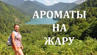 Ароматы на жару | ТОП 10 КРУТЫХ ЛЕТНИХ АРОМАТОВ #парфюмерия #духи #парфюм