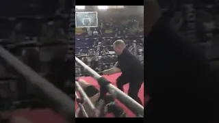 mma referee turns into a fighter