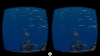 Dolphin VR box 360