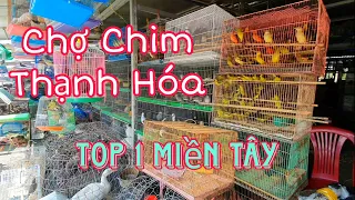 Chợ Chim Thạnh Hóa .Long An. Mua Bán Đầy Đủ Các Loại Chim, Cò, Rắn, Chuột..v..v