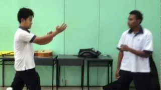 Wing Chun vs Jeet Kune Do