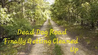 Dead Dog Road In Otter Creek Fl Is Finally Getting Cleaned Up. Yay!