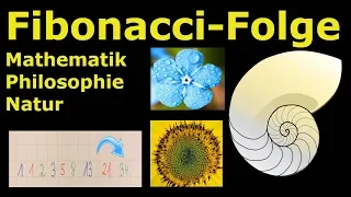 Fibonacci-Folge | Mathematik, Philosophie & Natur [Weltformel?] | Lehrerschmidt