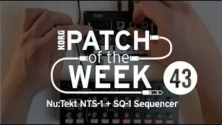 Patch of the Week 43: Nu:Tekt NTS-1 + SQ-1 Sequencer