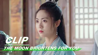 Clip: Is Zhan Qinghong Going To Fail? | The Moon Brightens for You EP36 | 明月曾照江东寒 | iQIYI