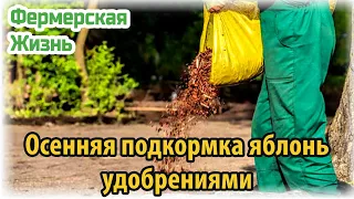 Осенняя подкормка яблонь удобрениями