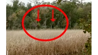 Bigfoot Scares Family In Texas USA 2015