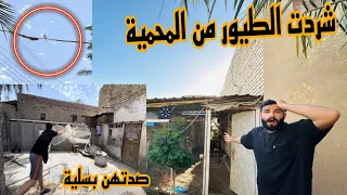 الفاخت شرد من المحمية 😭حاولت اصيدهن بسلية!!!