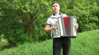 Андрей Сидельников - Одинокая гармонь