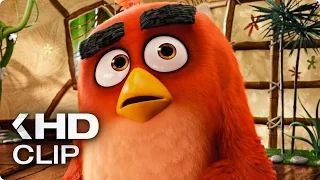 ANGRY BIRDS Movie Official Clip (2016)