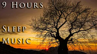 9 HOURS NATIVE AMERICAN SLEEP MUSIC 🌟 528Hz Transformation and Miracles Night Silence Nature Sounds