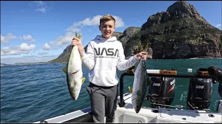 Crazy Yellowtail At Cape Point
