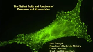 The distinct traits and functions of exosomes and microvesicles