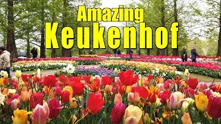 KEUKENHOF, HOLLAND - 2022  | THE MOST BEAUTIFUL SPRING GARDEN IN THE WORLD ! | TULIP GARDEN  4K
