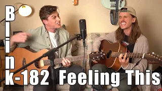 Feeling This - Blink 182 (acoustic cover)