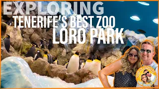 Loro Park/Parque Tenerife The BEST ZOO!! on the island  🐆