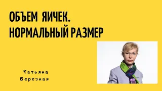 Размер яичка. Какой размер яичка должен быть. Что должно насторожить.