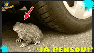 🔔 ESMAGANDO COISAS CROCANTES E MACIAS - CARRO VS SAPO?