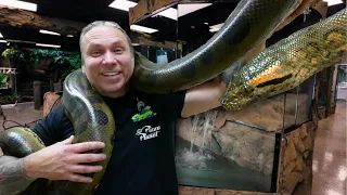 MOVING MY HUGE ANACONDA INTO A NEW GIANT CAGE AT THE REPTILE ZOO!! Build Day #14 | BRIAN BARCZYK