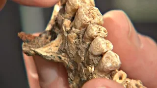 В Израиле нашли самые древние останки человека за пределами Африки