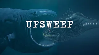 Upsweep, Unidentified Deep Sea Sounds