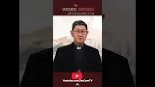 THE PATHS TO REBIRTH | The Word Exposed with #CardinalTagle