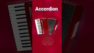 Accordion English Vocabulary Musical Instruments #shorts