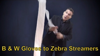 Black and White Gloves to Zebra Streamer 2.0