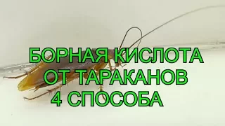 Как Избавиться от Тараканов. Борная Кислота 4 Способа.