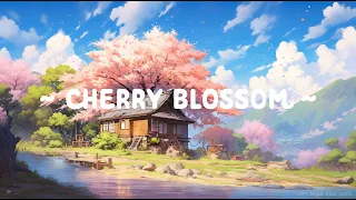 Cherry Blossom 🌸 Lofi Keep You Safe 🍁 Lofi Songs for Study//Work [ Lofi Hip Hop / Lofi Music ]