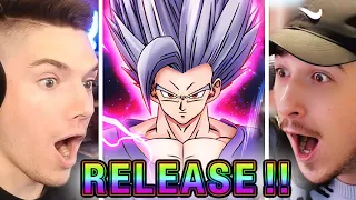 We got EVERY ANIMATION for LR Beast Gohan Dual Summon Battle vs Nanogenix in Dokkan 9th Anniversary